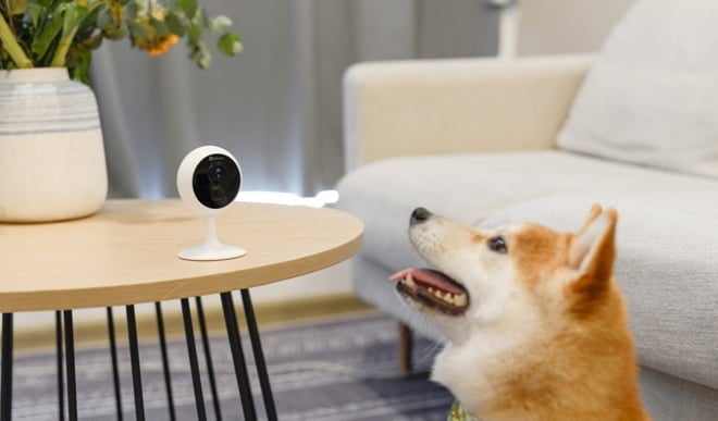 Đi mua camera an ninh, cần hỏi gì để khỏi lo về rủi ro bảo mật? - 4