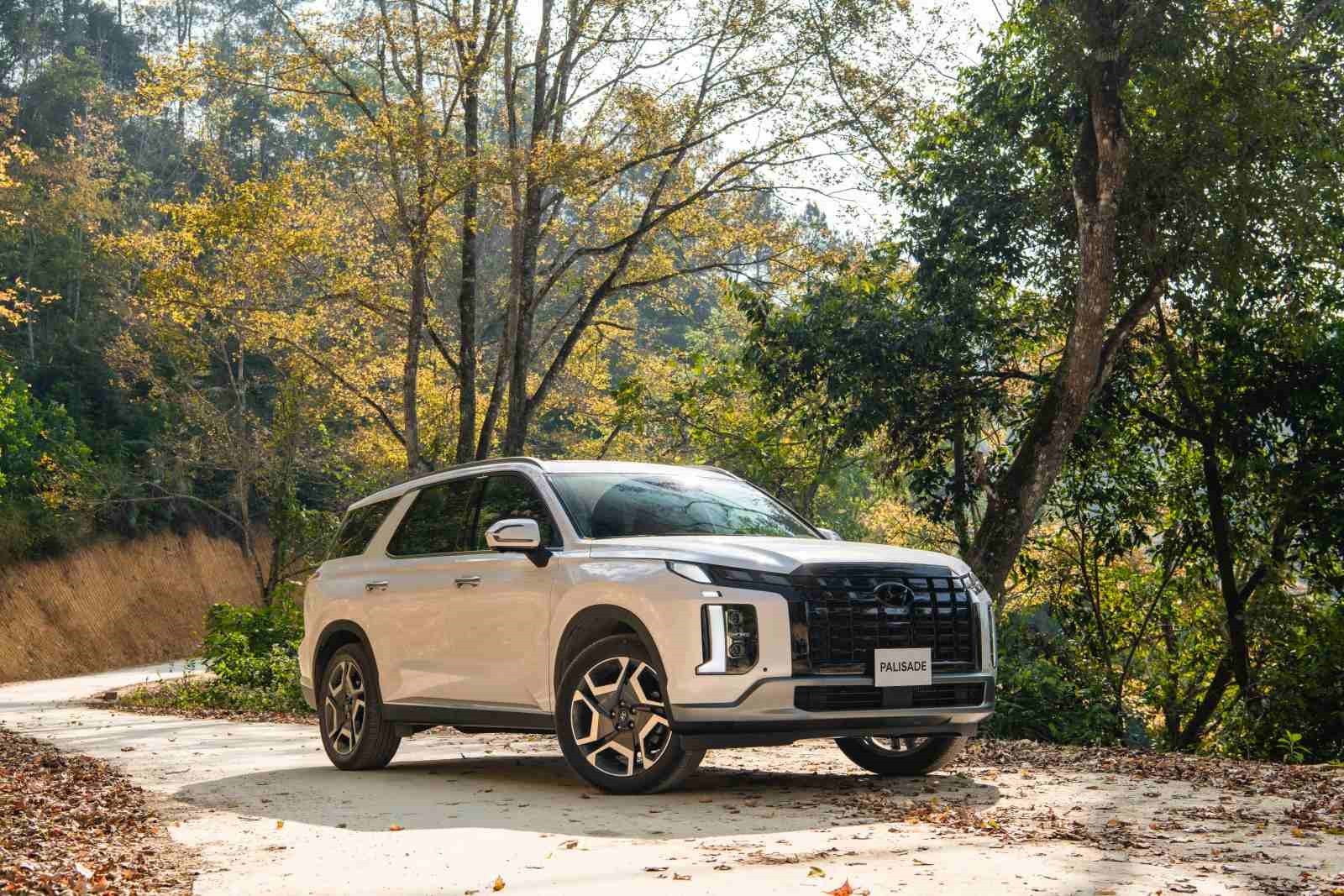 hyundai-palisade-4-1755139240.jpg