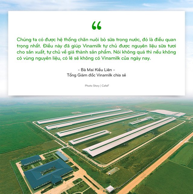 Vinamilk: 15 năm xây dựng hệ thống trang trại của triệu phú sữa tươi Việt Nam - Ảnh 1.