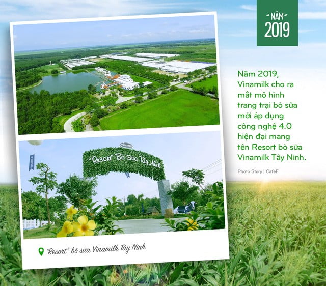 Vinamilk: 15 năm xây dựng hệ thống trang trại của triệu phú sữa tươi Việt Nam - Ảnh 6.