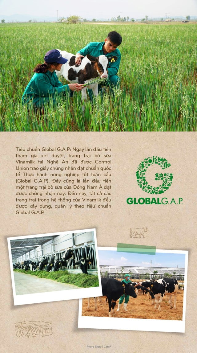 Vinamilk: 15 năm xây dựng hệ thống trang trại của triệu phú sữa tươi Việt Nam - Ảnh 10.