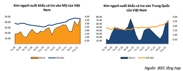 VHC: BSC dự đoán xuất khẩu cá tra sang Mỹ và Trung quốc khả quan với giá bán cao - Ảnh 2.