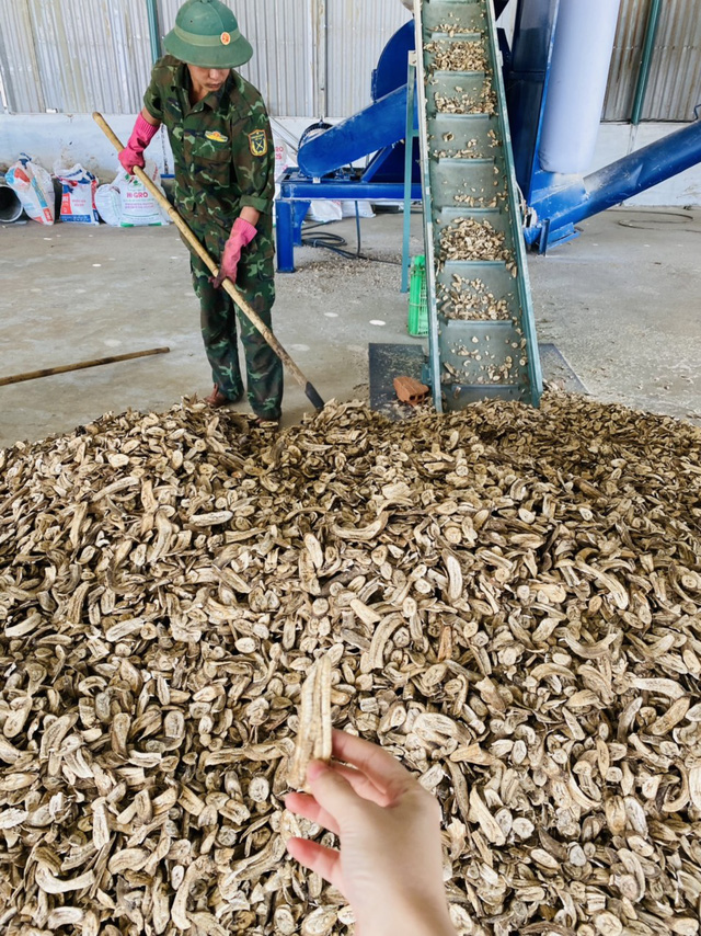 Bên trong dự án Heo ăn chuối của bầu Đức: Đang nuôi thí điểm 25 tấn cá trê, vừa giúp xử lý chất thải chăn nuôi vừa có thể bán với giá 33.000 đồng/kg - Ảnh 9.