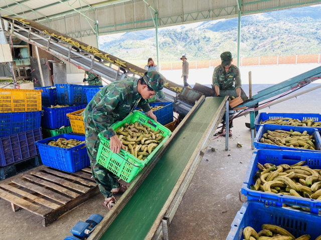 Bên trong dự án Heo ăn chuối của bầu Đức: Đang nuôi thí điểm 25 tấn cá trê, vừa giúp xử lý chất thải chăn nuôi vừa có thể bán với giá 33.000 đồng/kg - Ảnh 8.