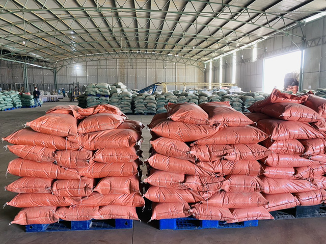 Bên trong dự án Heo ăn chuối của bầu Đức: Đang nuôi thí điểm 25 tấn cá trê, vừa giúp xử lý chất thải chăn nuôi vừa có thể bán với giá 33.000 đồng/kg - Ảnh 11.
