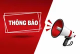 Tìm gấp phiếu xuất xưởng xe VinFast Limo Green bị thất lạc