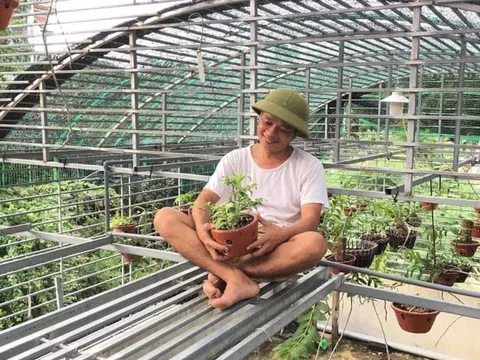 Thầy giáo Tuấn Bùi sở hữu vườn lan giá trị tại Hòa Bình