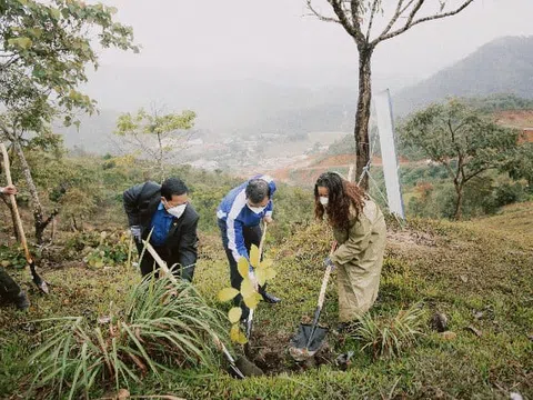 Chương trình “Triệu cây xanh – Vì một Việt Nam xanh”: Trồng mới 30.000 cây xanh tại rừng đầu nguồn