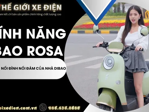 Dibao Rosa: Khám Phá Xe Đạp Điện Đình Đám 2025 Với 5 Tính Năng Ưu Việt